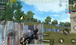 鸡交配视频,一场自然与生命的交配奇观